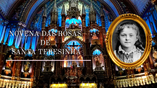 Novena das Rosas de Santa Teresinha – 8º Dia